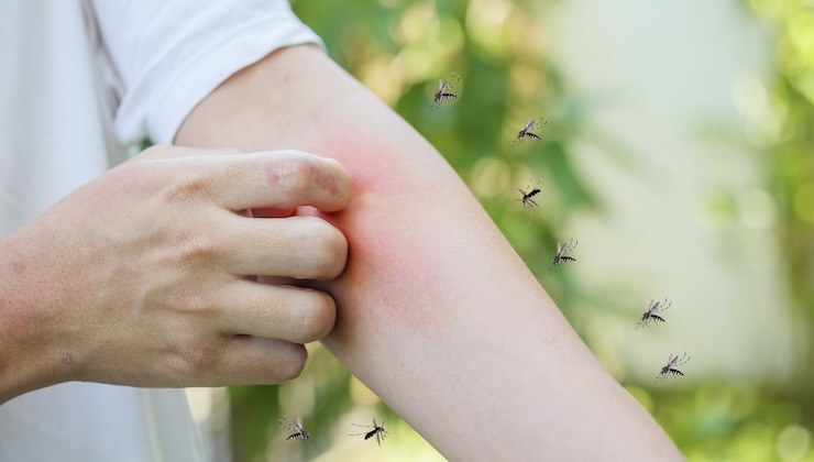 rimedi naturali che allontanano le zanzare