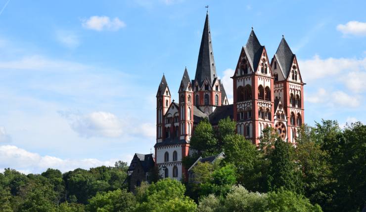 Limburg piccioni sterminati