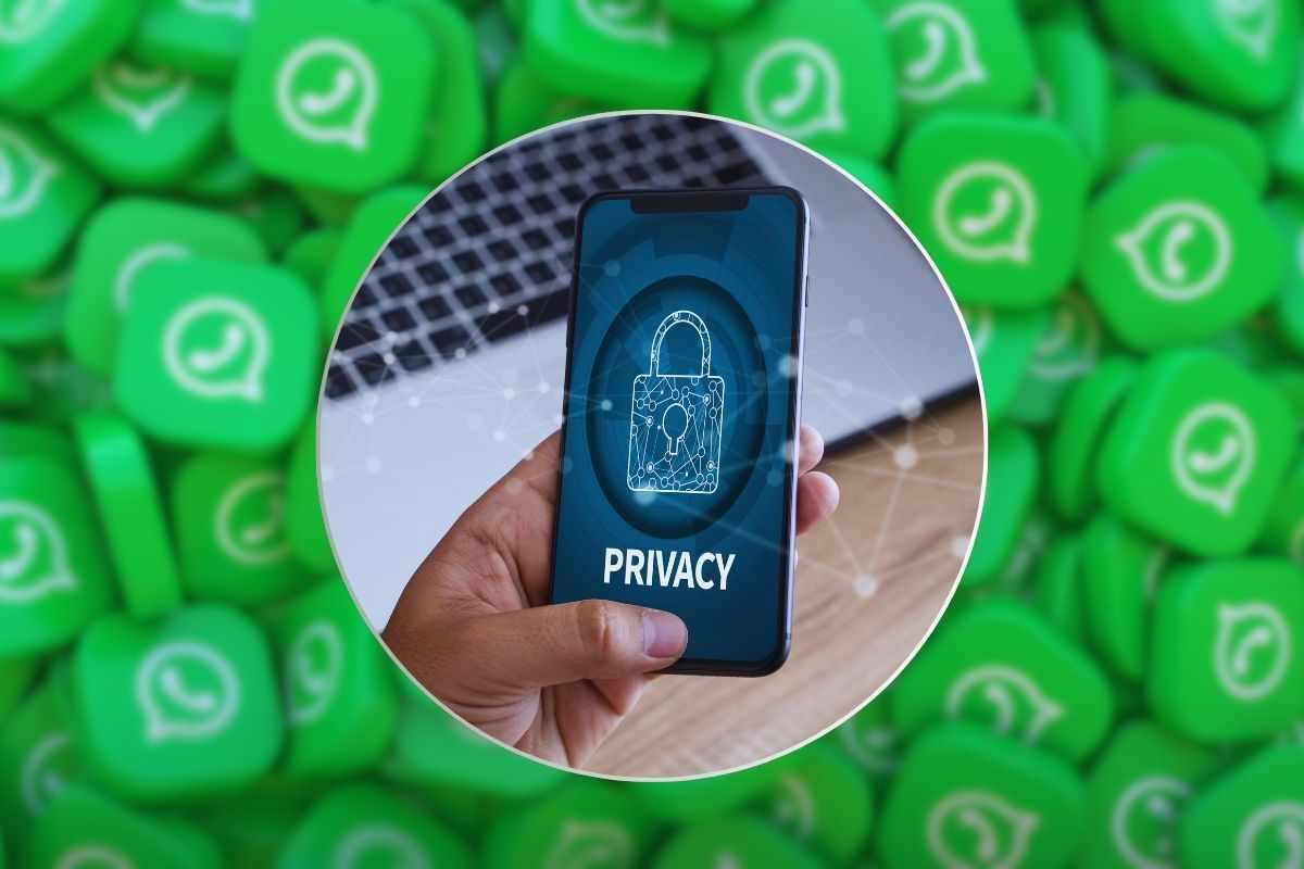 whatsapp novità privacy