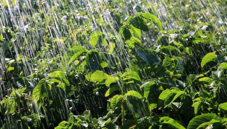 meteo grandine distruzione allerta